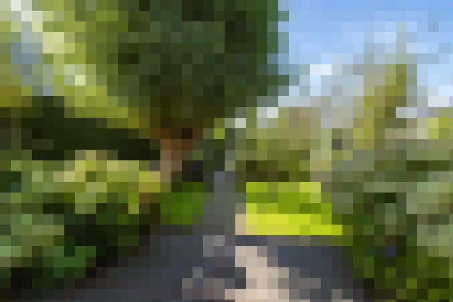 Zijdelveld 28 a Uithoorn thumbnail 6