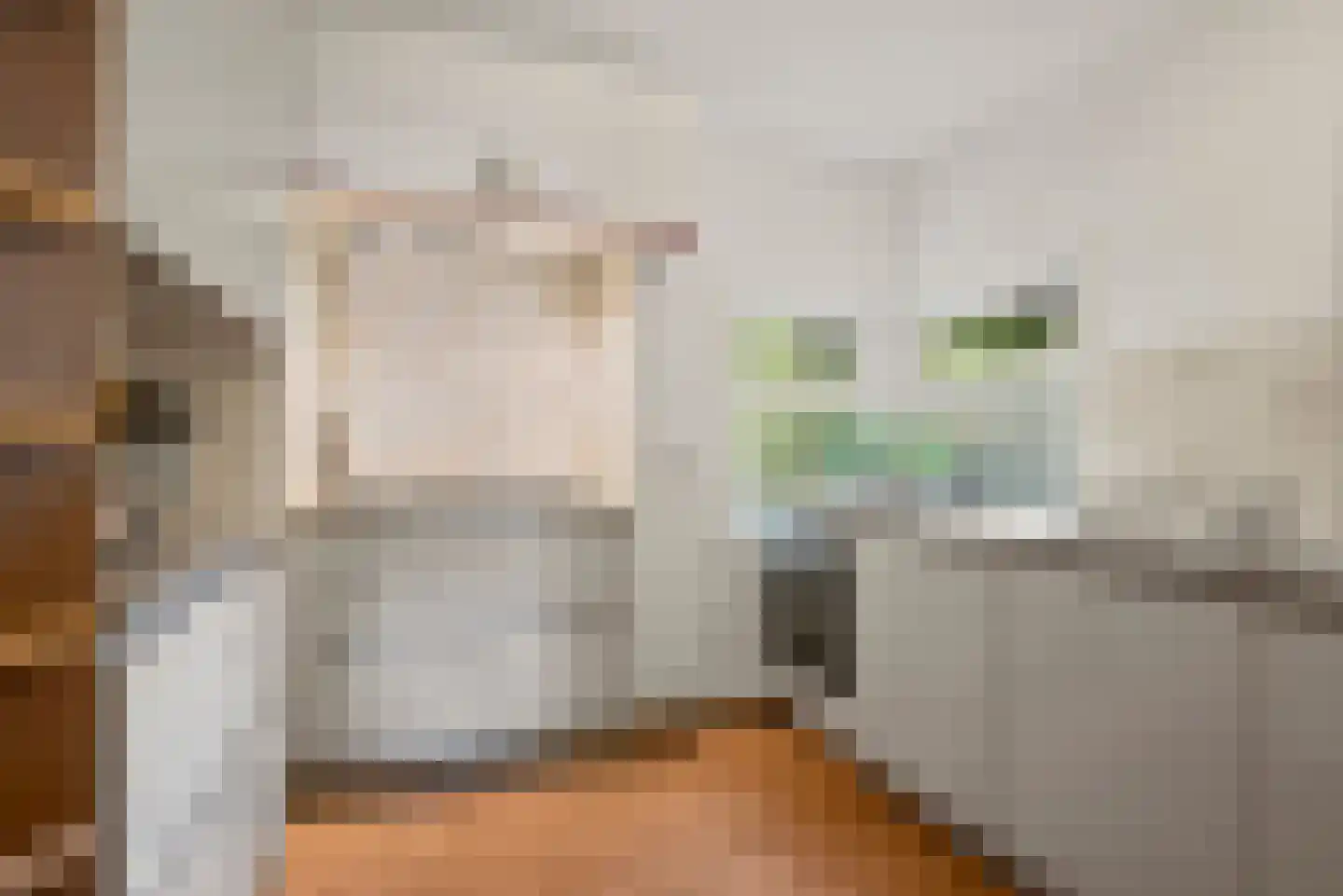 Zijdelveld 57 Uithoorn thumbnail 30