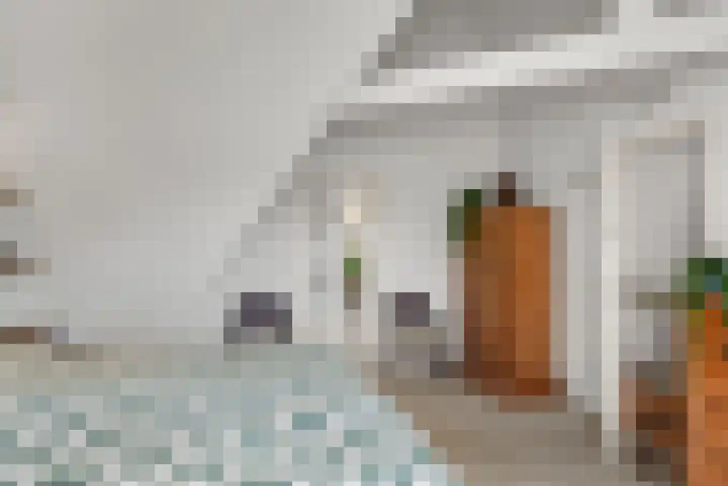 Zijdelveld 57 Uithoorn thumbnail 39