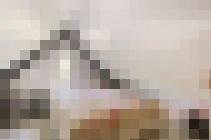 Zijdelveld 58 Uithoorn thumbnail 25