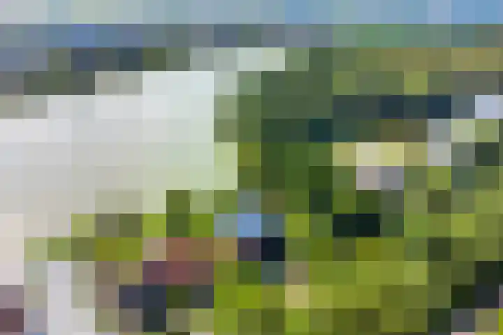 Zijdelveld 58 Uithoorn thumbnail 29