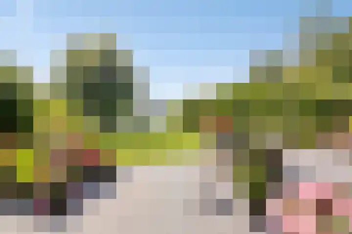 Zijdelveld 58 Uithoorn thumbnail 33