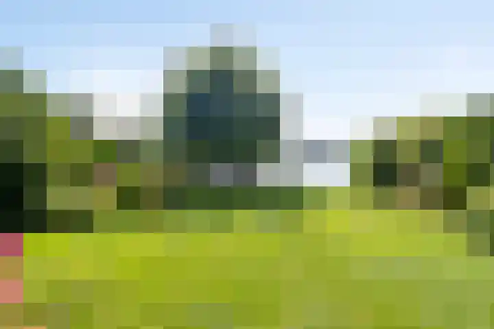 Zijdelveld 58 Uithoorn thumbnail 35