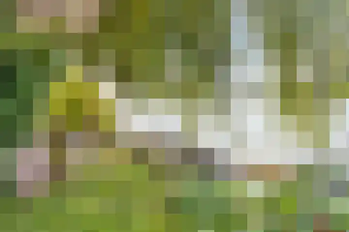 Zijdelveld 58 Uithoorn thumbnail 36