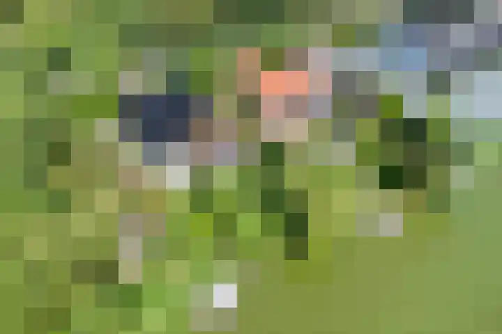 Zijdelveld 58 Uithoorn thumbnail 37