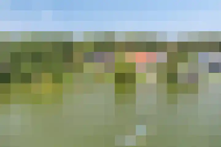 Zijdelveld 58 Uithoorn thumbnail 38