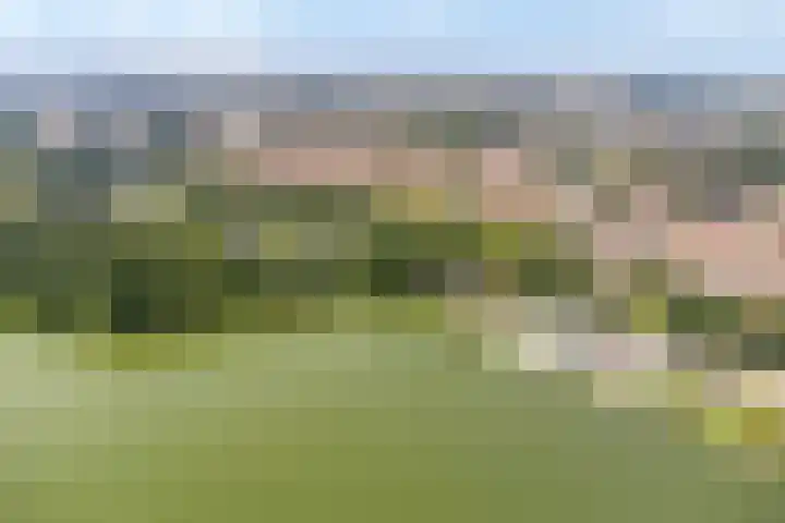 Zijdelveld 58 Uithoorn thumbnail 39