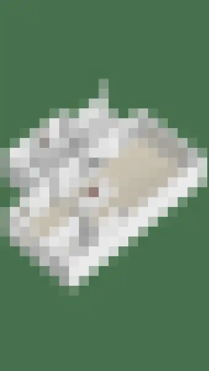 Zijdelveld 58 Uithoorn thumbnail 43