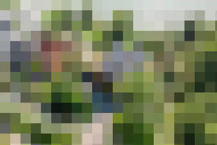 Zijdelveld 58 Uithoorn thumbnail 51