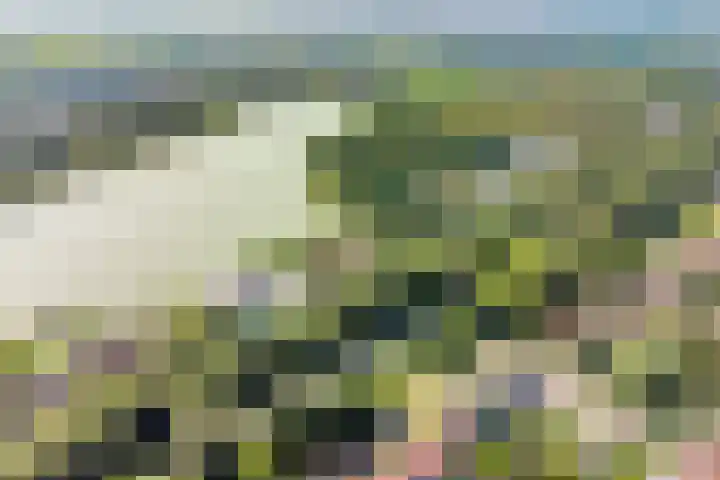 Zijdelveld 58 Uithoorn thumbnail 52