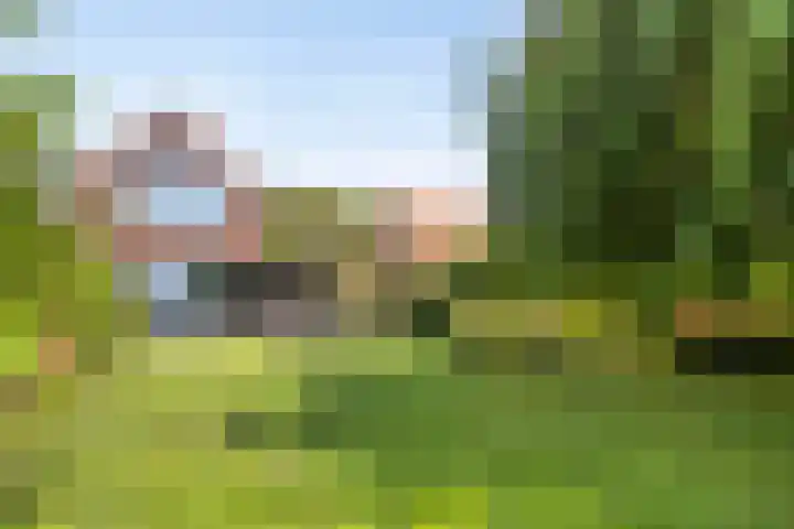 Zijdelveld 58 Uithoorn thumbnail 53