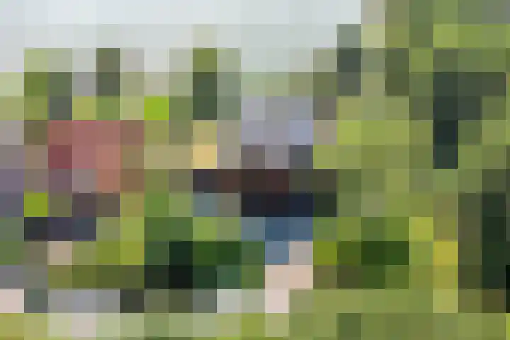 Zijdelveld 58 Uithoorn thumbnail 54