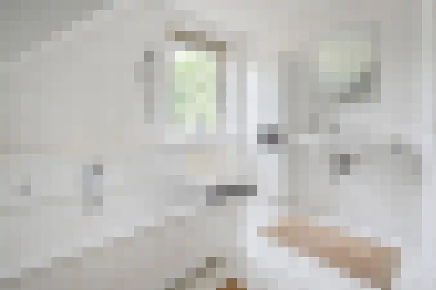 Zijdelveld 66 b Uithoorn thumbnail 20