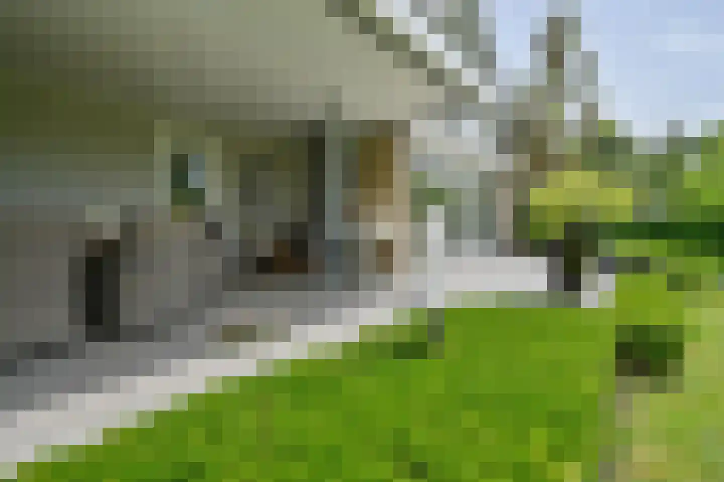 Zijdelveld 66 b Uithoorn thumbnail 29
