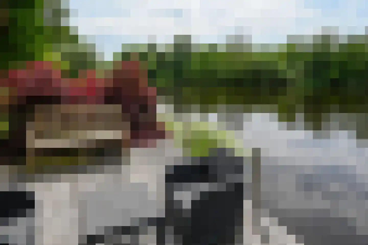 Zijdelveld 66 b Uithoorn thumbnail 35
