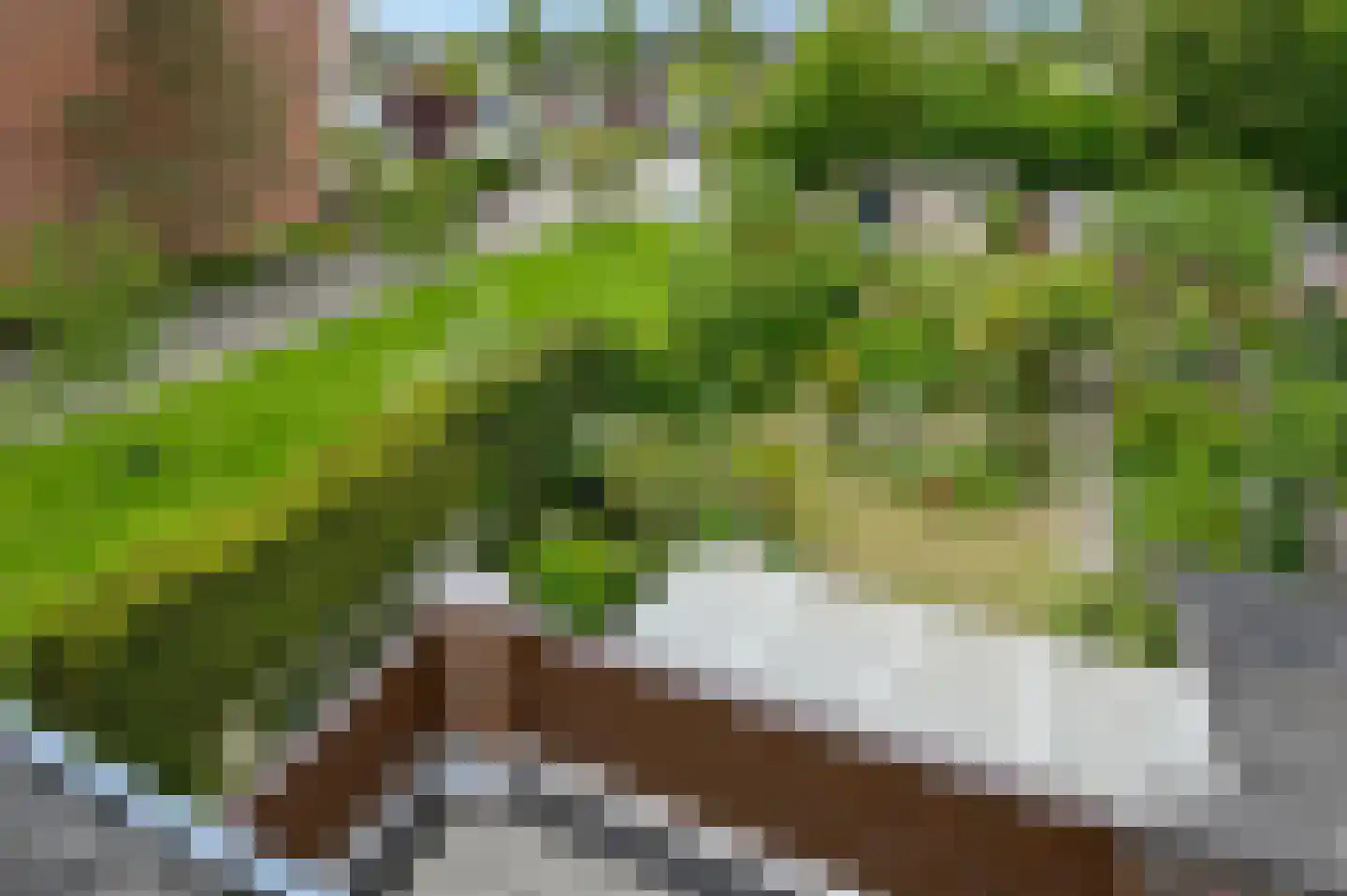 Zijdelweg 17 Uithoorn thumbnail 23