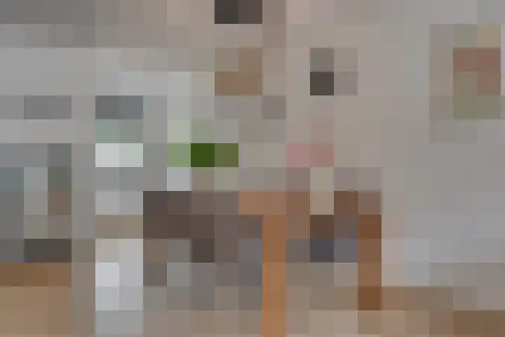 Zijdemos 15 Houten thumbnail 13