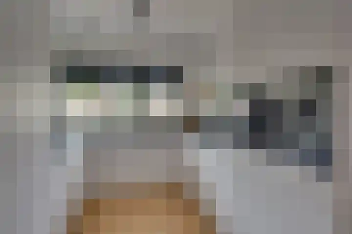 Zijdemos 15 Houten thumbnail 14