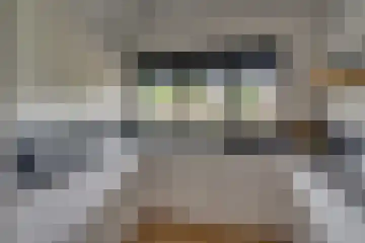 Zijdemos 15 Houten thumbnail 15