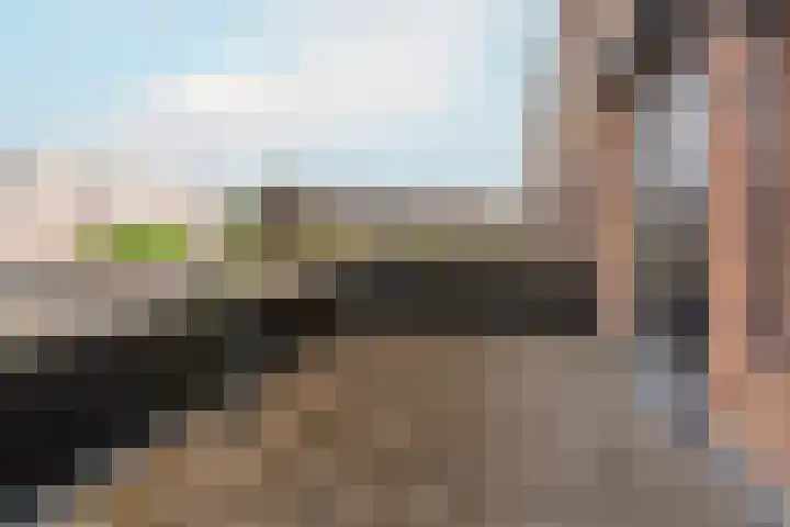 Zijdemos 15 Houten thumbnail 18