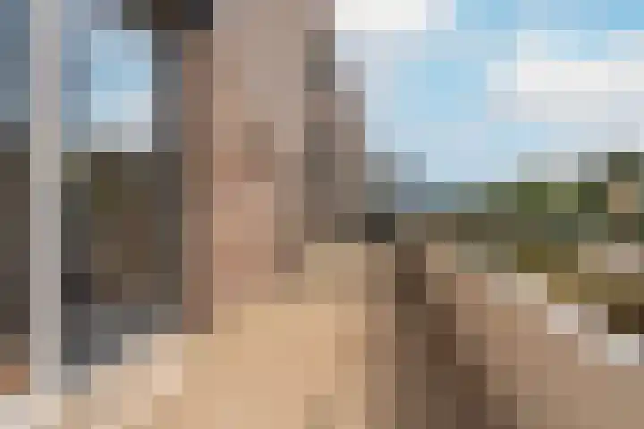 Zijdemos 15 Houten thumbnail 22