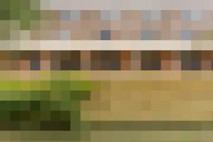 Zijdemos 15 Houten thumbnail 31