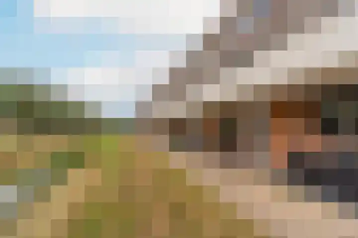 Zijdemos 15 Houten thumbnail 32