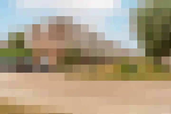 Zijdemos 15 Houten thumbnail 33