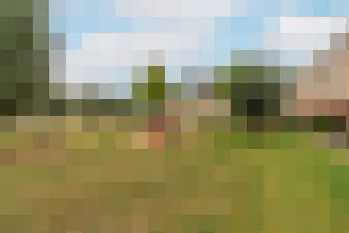 Zijdemos 15 Houten thumbnail 34