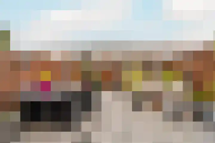 Zijdemos 15 Houten thumbnail 8