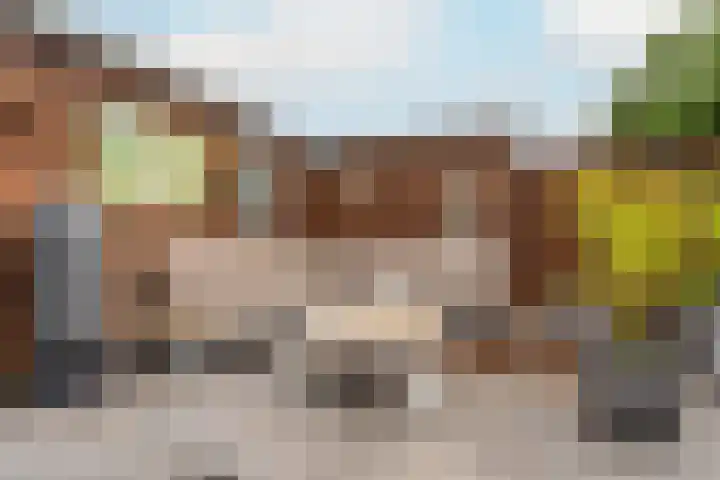 Zijdemos 15 Houten thumbnail 9