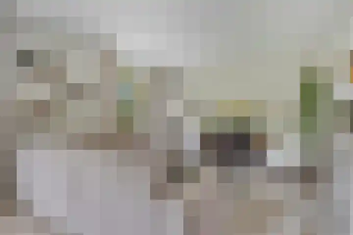 Zijdemos 6 Veenendaal thumbnail 10