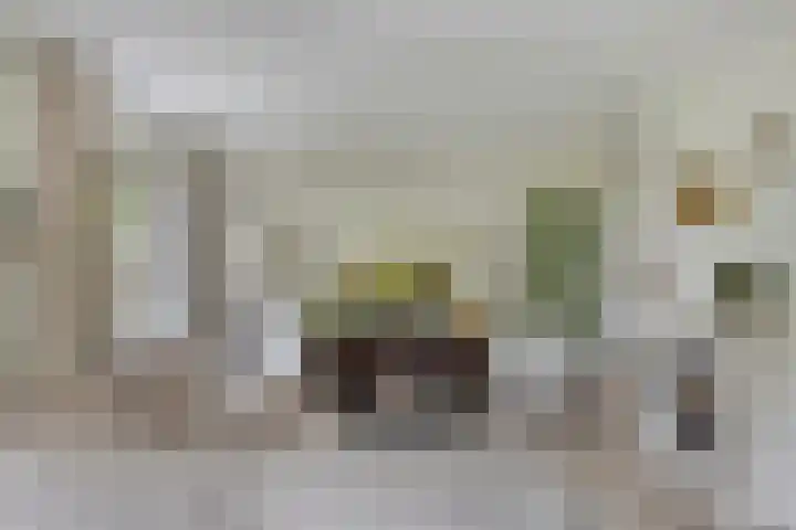 Zijdemos 6 Veenendaal thumbnail 11