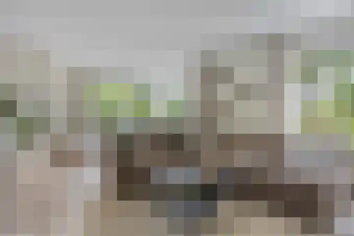 Zijdemos 6 Veenendaal thumbnail 12