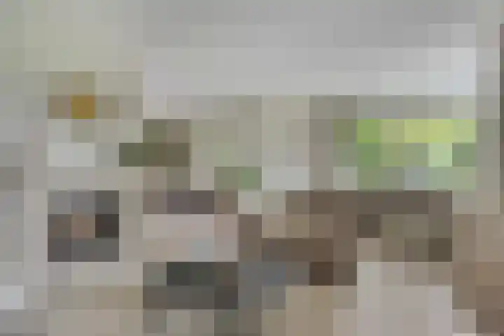 Zijdemos 6 Veenendaal thumbnail 13