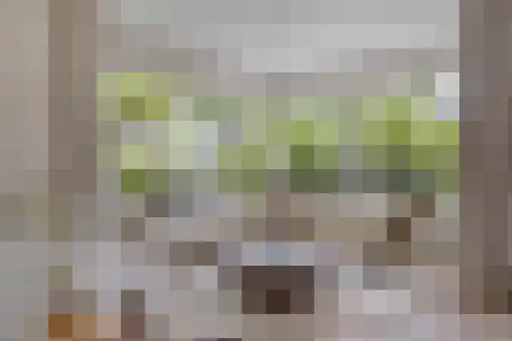 Zijdemos 6 Veenendaal thumbnail 14