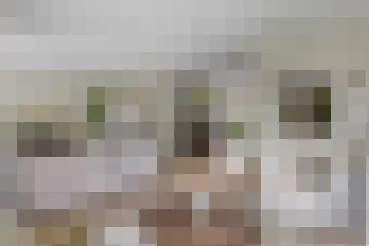 Zijdemos 6 Veenendaal thumbnail 15