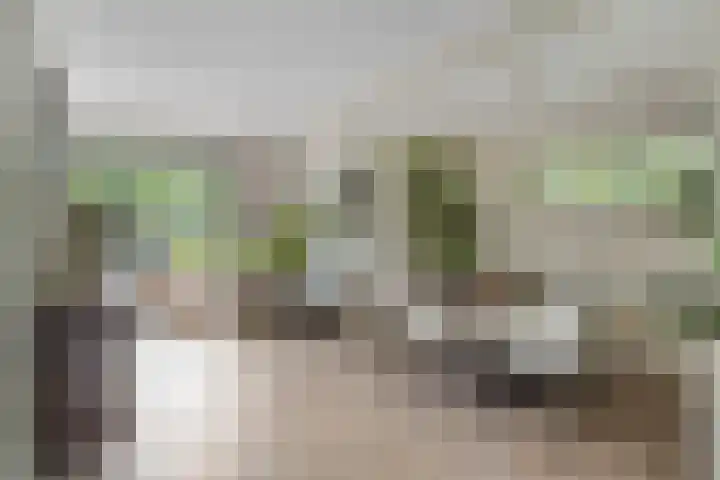 Zijdemos 6 Veenendaal thumbnail 16