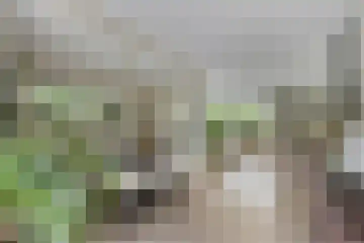 Zijdemos 6 Veenendaal thumbnail 17