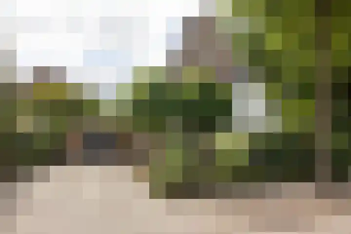 Zijdemos 6 Veenendaal foto 2