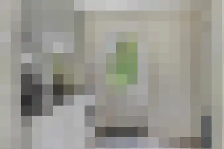 Zijdemos 6 Veenendaal thumbnail 20