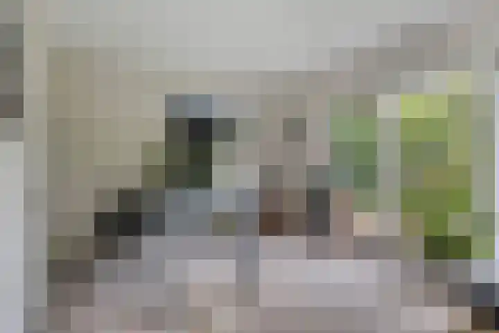 Zijdemos 6 Veenendaal thumbnail 21