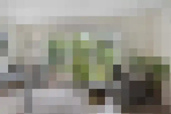 Zijdemos 6 Veenendaal thumbnail 22