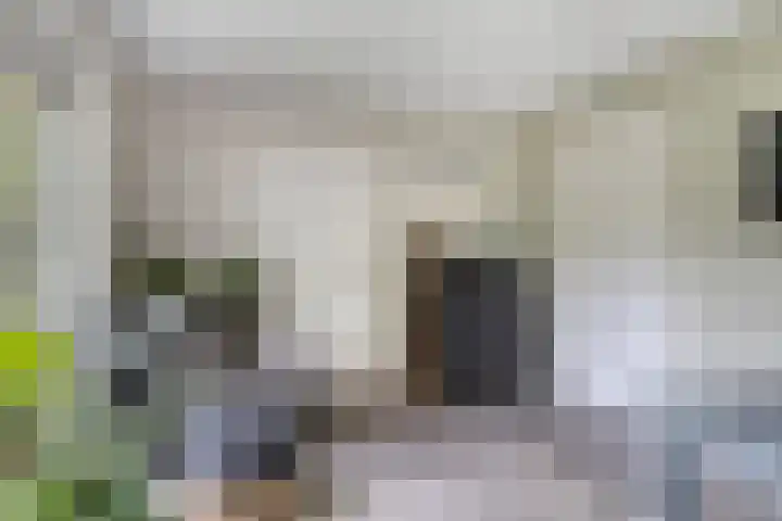 Zijdemos 6 Veenendaal thumbnail 23