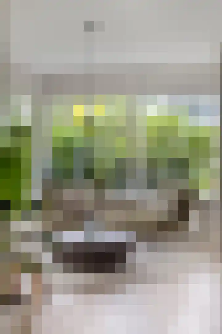 Zijdemos 6 Veenendaal thumbnail 24