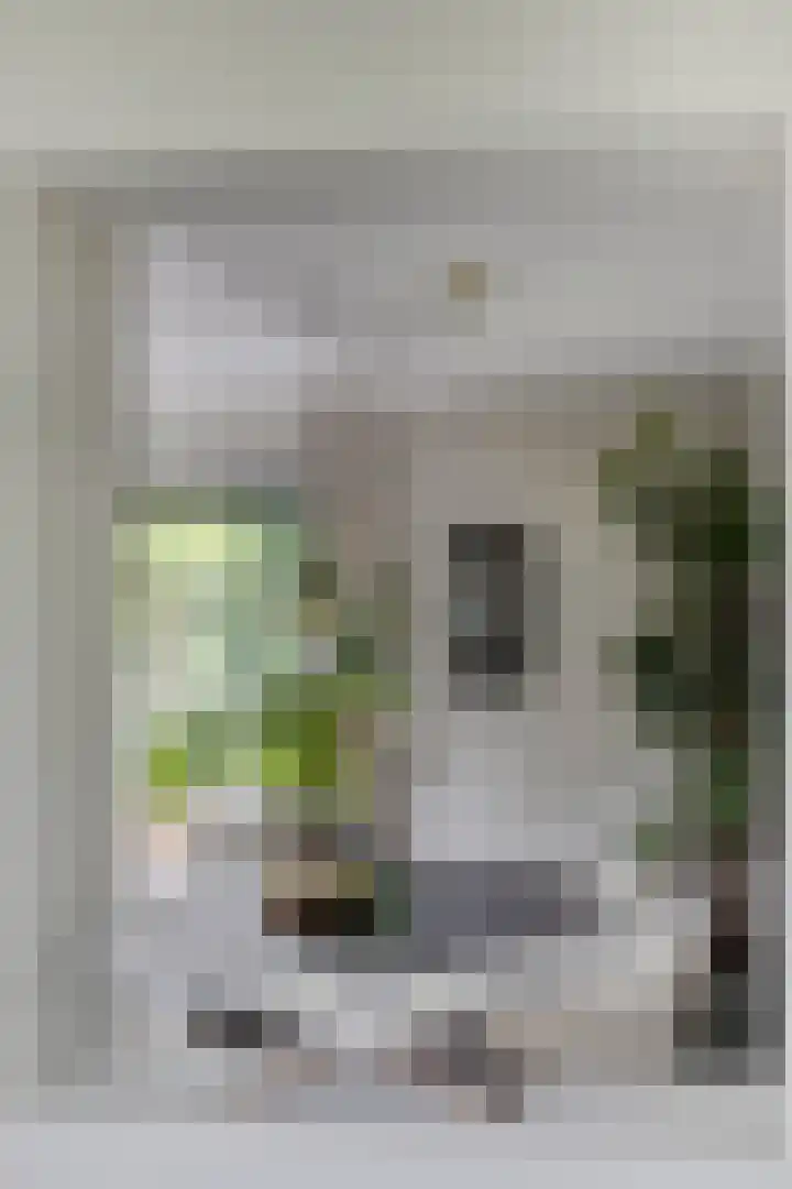 Zijdemos 6 Veenendaal thumbnail 25