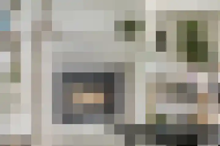 Zijdemos 6 Veenendaal thumbnail 26