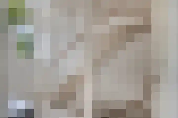 Zijdemos 6 Veenendaal thumbnail 27
