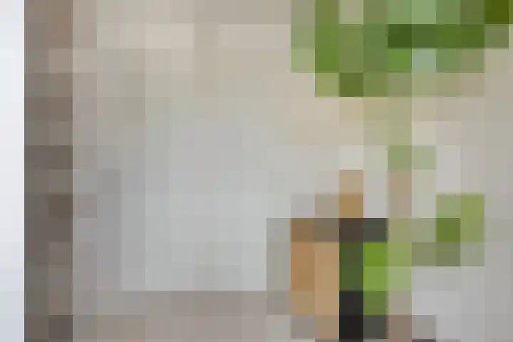 Zijdemos 6 Veenendaal thumbnail 28