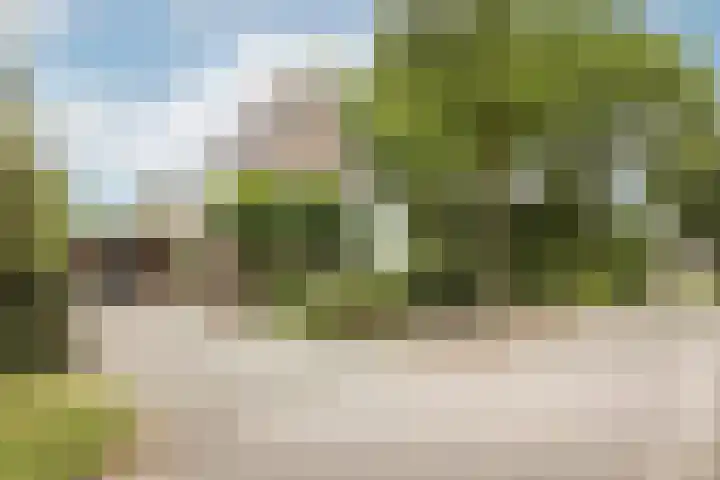 Zijdemos 6 Veenendaal foto 3